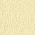 Vanille F34